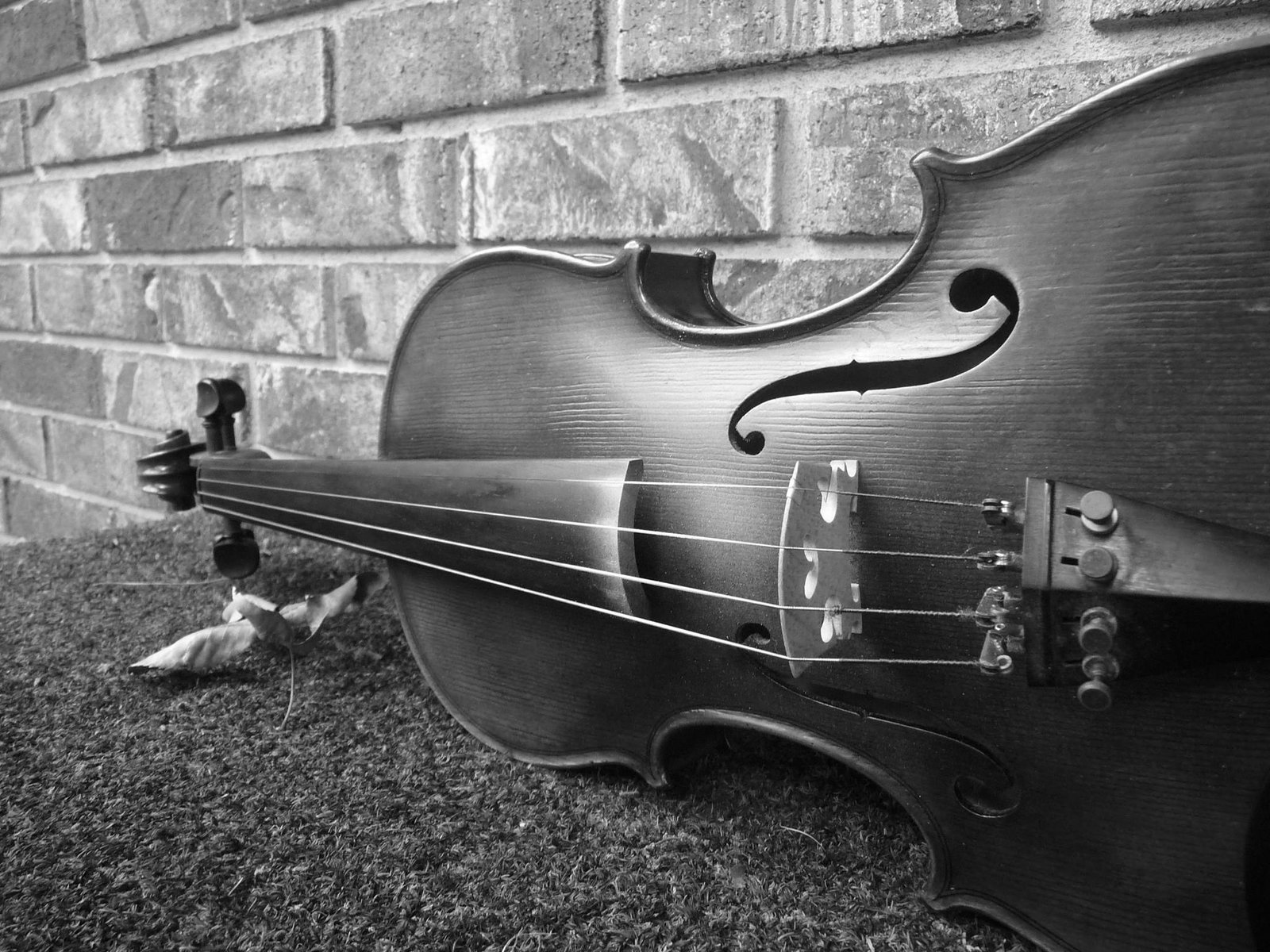 Every Violin Has a Voice Finding Yours
